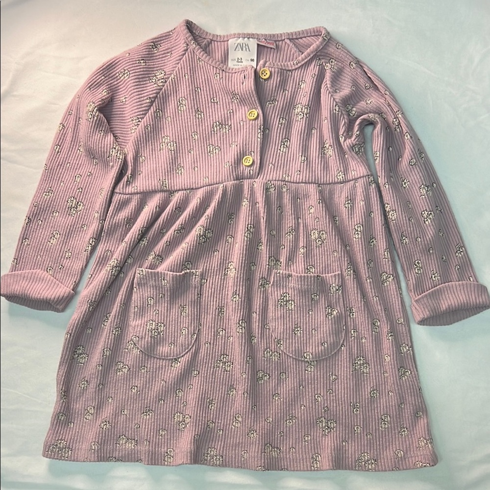 Zara kids(2-3yrs) Lilac Floral Buttoned Dress